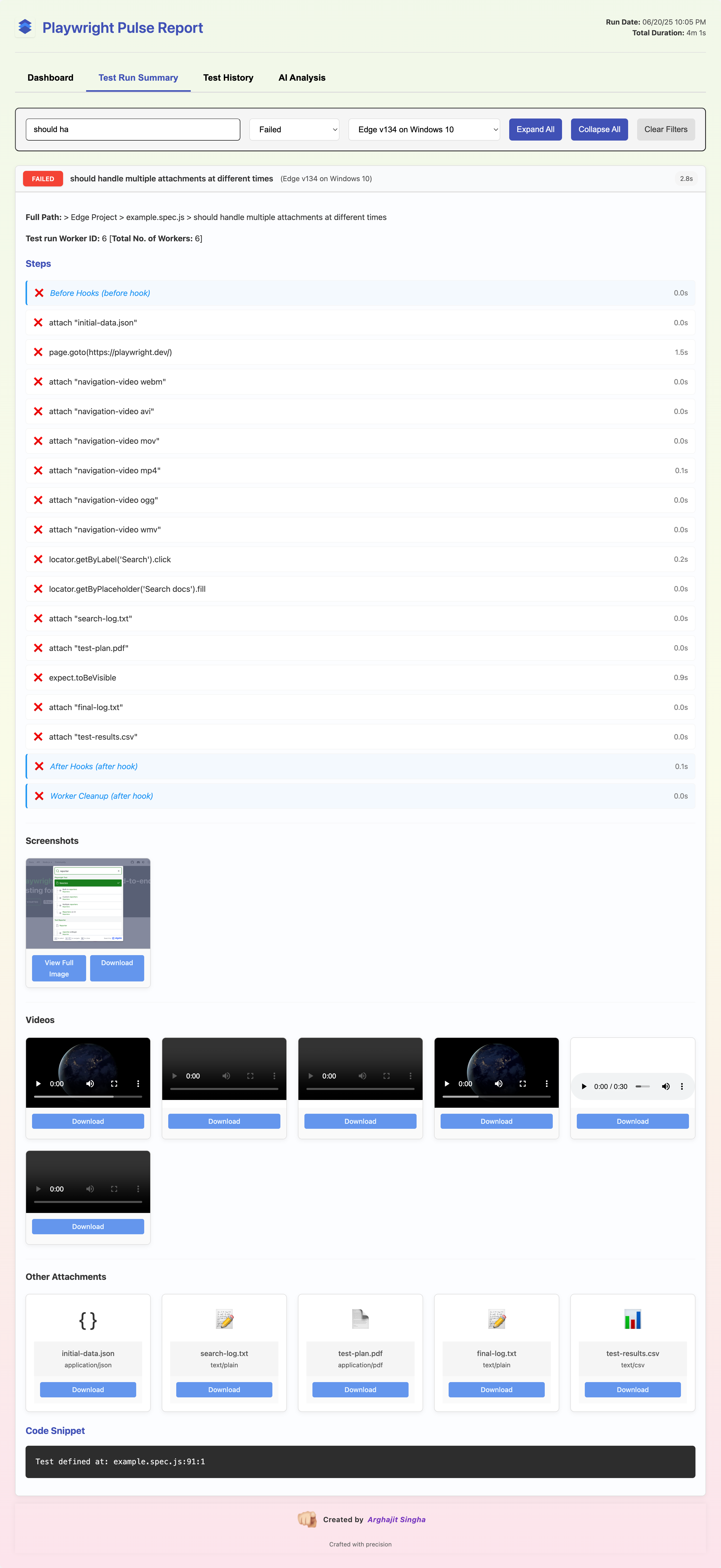 Failed Test Run Details